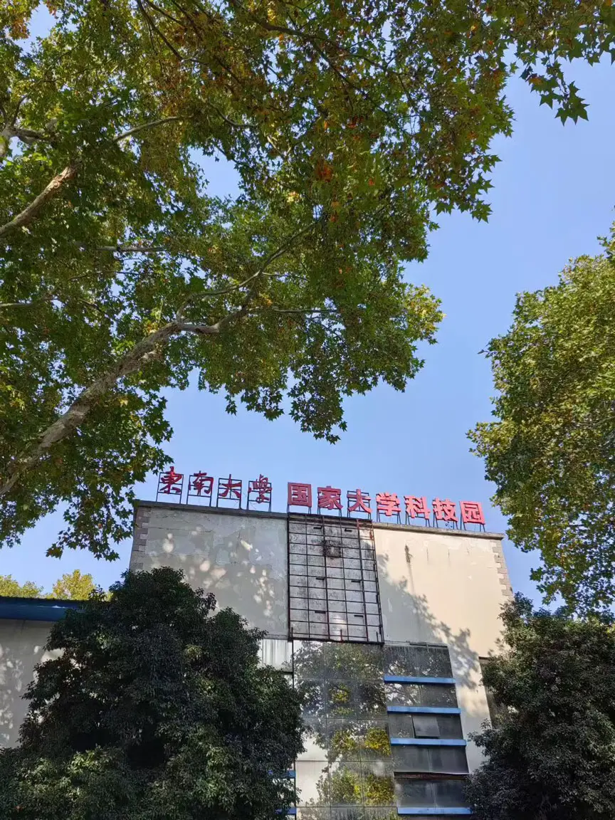 园区树木