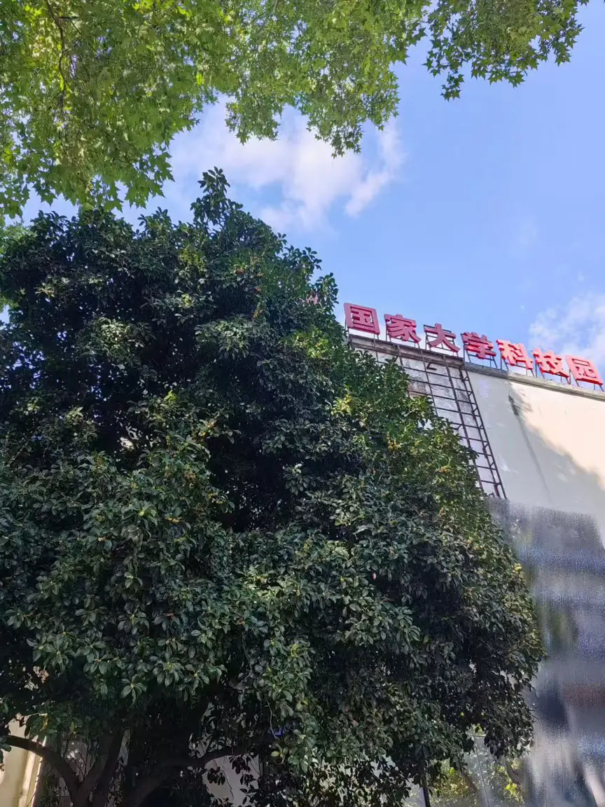 园区办公楼